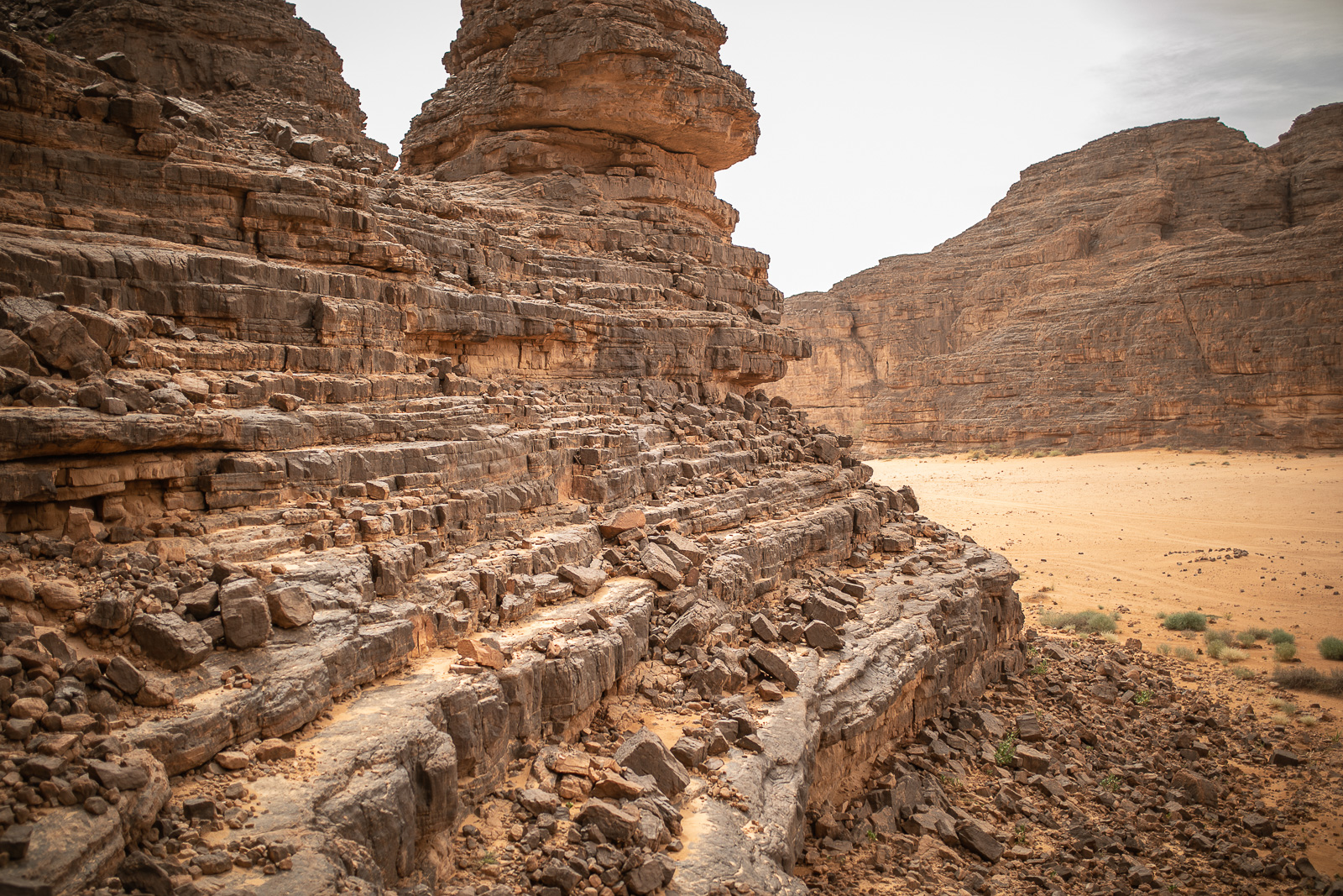 Human & Nature  outoftime 114